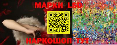 a pvp Краснодар