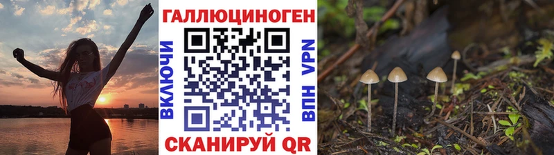 blacksprut ONION  Лобня  Галлюциногенные грибы прущие грибы 